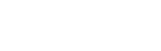 Avicon Travel
